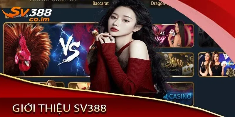 gioi thieu ve chung toi sv388 Giới thiệu chung về chúng tôi SV388
